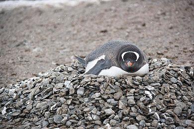 《生化女神：末日开端》试玩版开放 美女高中生恐怖之旅